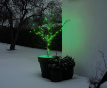 Lyskæde Basis 100 LED grøn 9,9 meter